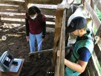 Execução do Programa + Pecuária Brasil no município de Buritizeiro.